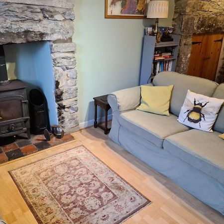 North Wales Cosy Cottage With Views Near Eryri Snowdonia Nantlle 外观 照片